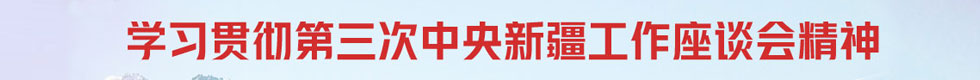 學習貫徹第三次中央新疆工作座談會精神